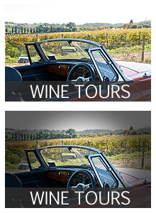 Wine Tours