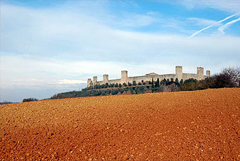Siena