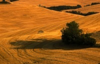 Val D'orcia Tour