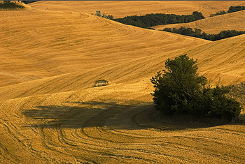 Val D'Orcia landscape